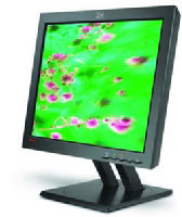 Lenovo L200p 20.1  Hybrid TFT black TCO99 (T36HCEU)